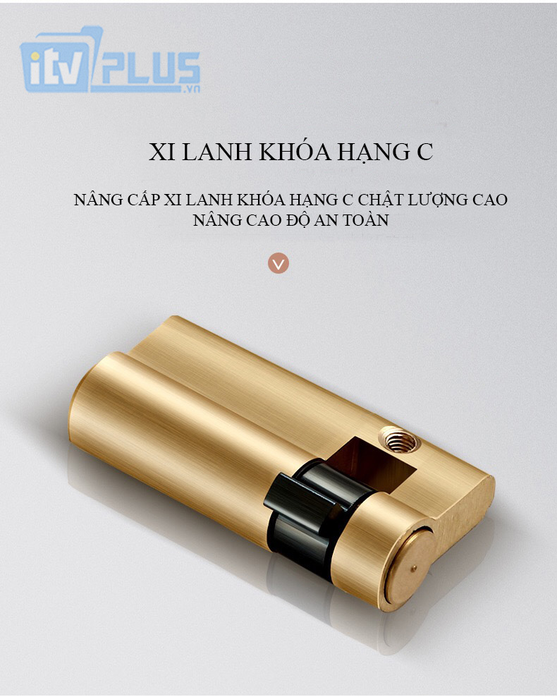 himedia_h33_10