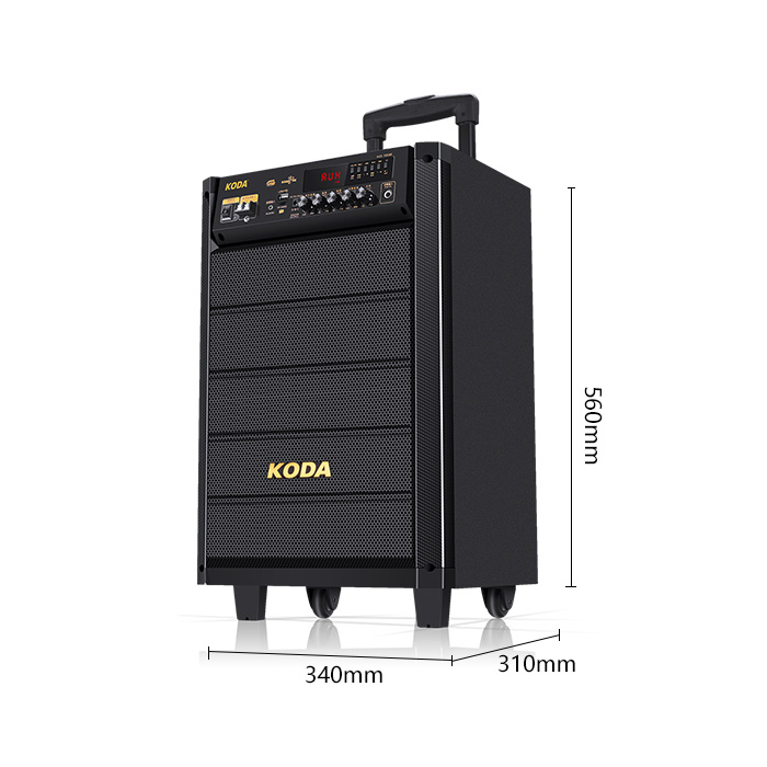 loa_keo_koda_kd1208_3