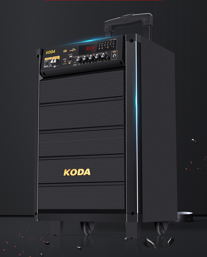 loa_keo_koda_kd1208_4