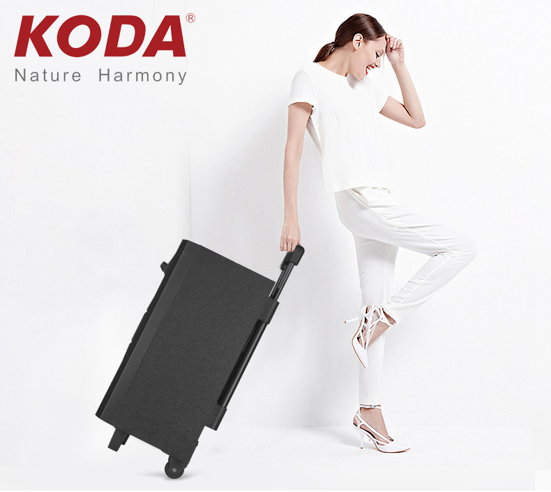 loa_keo_koda_kd1509_6