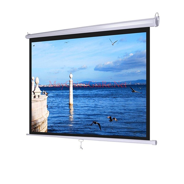 manchieugiaretreotuong100inch20160421201541